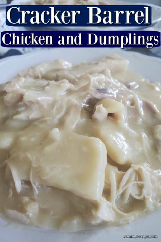 Cracker Barrel Chicken and Dumplings Recipe close up on a white plate