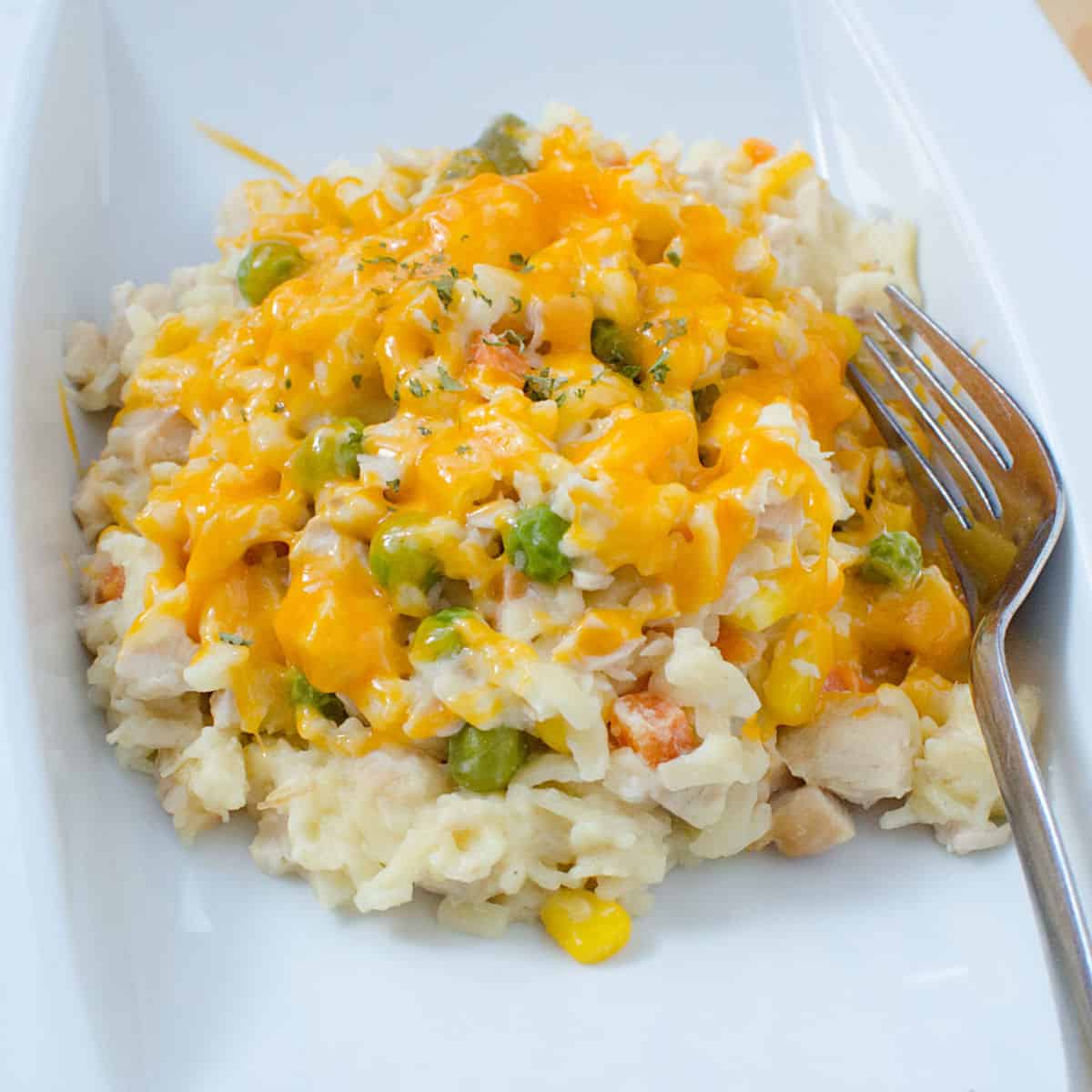 https://www.tammileetips.com/wp-content/uploads/2020/09/Crock-Pot-Chicken-Orzo-Casserole.jpg