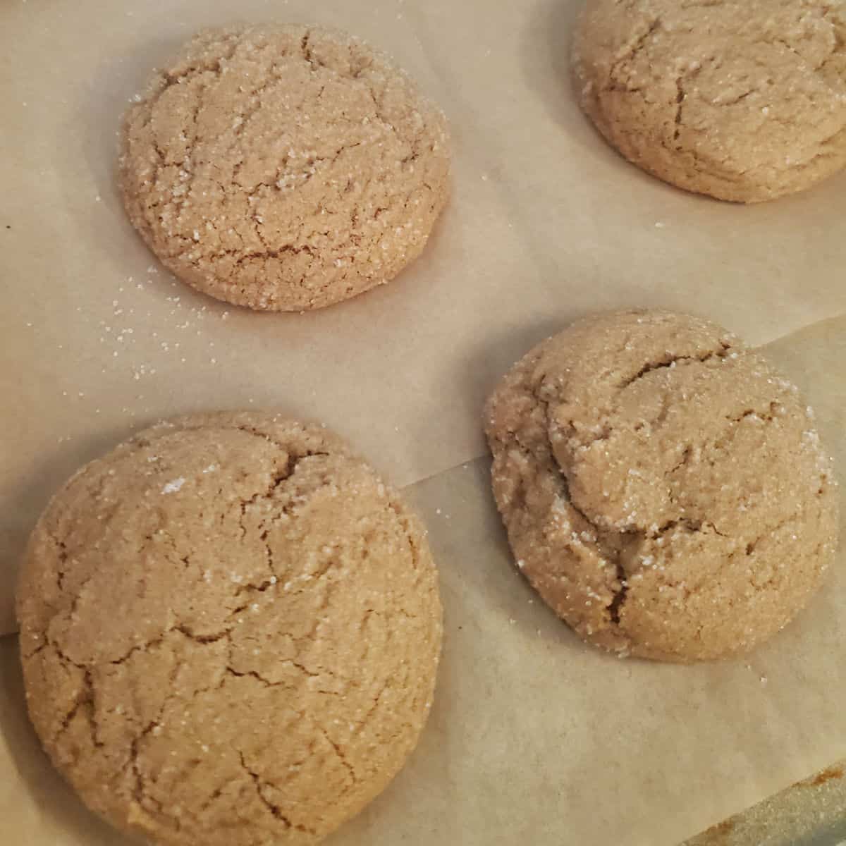 Soft Old Fashioned Molasses Cookies on parchment paper