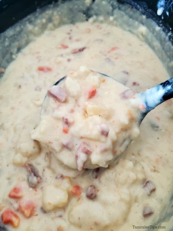 Ladle dipping into ham and potato soup inside of a crockpot