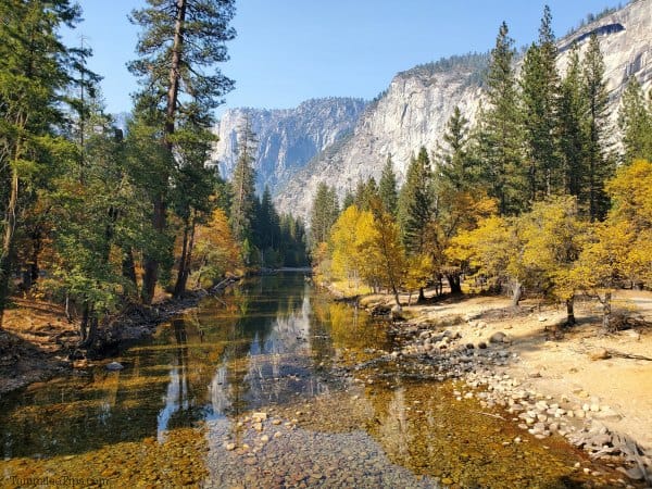 fall leaves on trees surrounding a flat river with mountains in the background