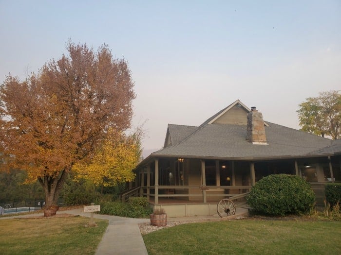 Fall leaf covered tree next to a building with a wagon wheel against it