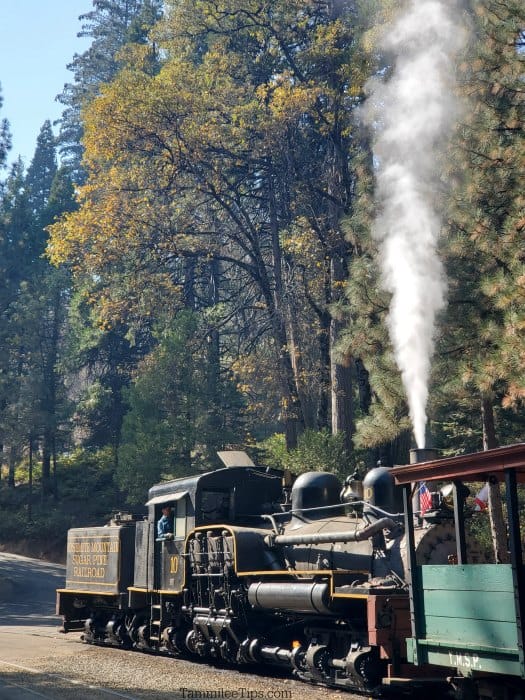 steam coming out of a locomotive with trees near it 