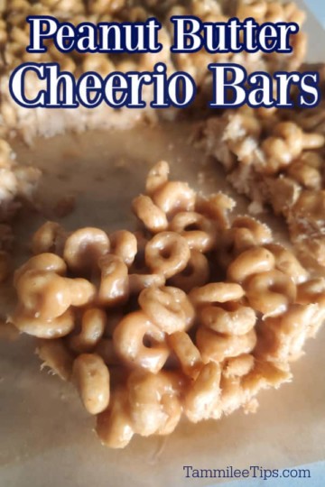 3 Ingredient Peanut Butter Cheerio Bars Recipe {Video} - Tammilee Tips