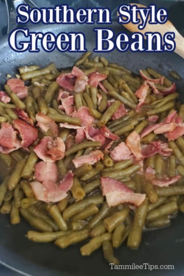 Southern Style Green Beans Recipe {Video} - Tammilee Tips