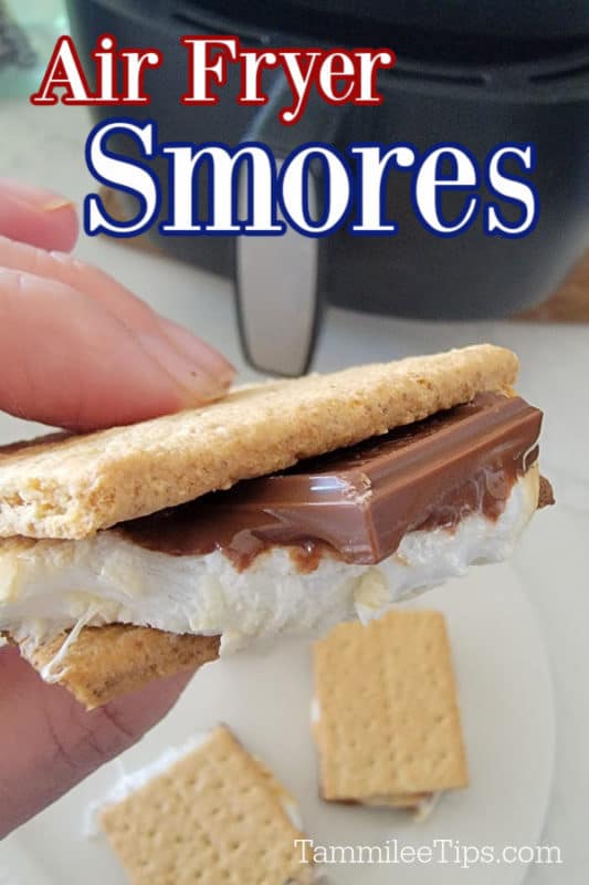 Air Fryer Smores text over a hand holding a smores in front of an air fryer