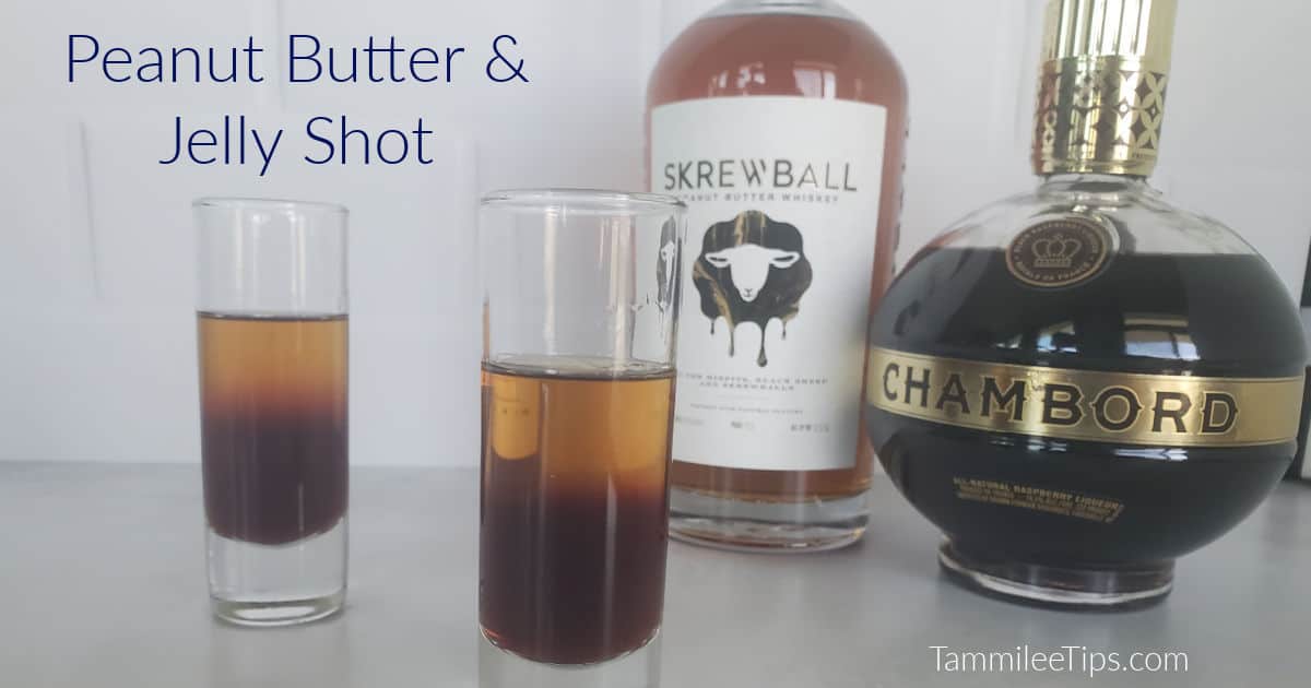 Peanut Butter and Jelly Shot Recipe {Video} Tammilee Tips