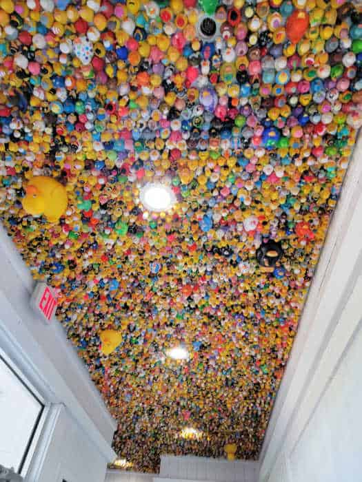 hundreds of rubber duckies attached to the ceiling by the exit sign. 