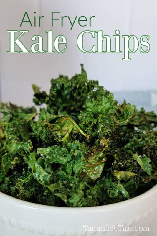 Air Fryer Kale Chips text over a white bowl filled with kale