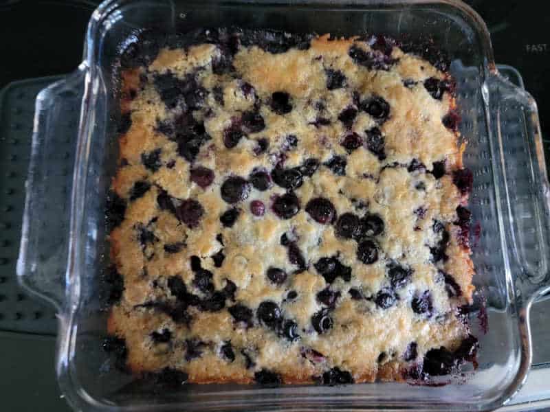 Baked blueberry cobbler in a glass baking dish