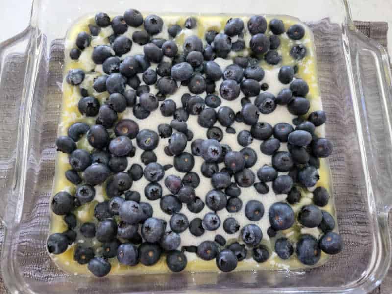 Fresh blueberries on Bisquick batter in a glass baking dish. 