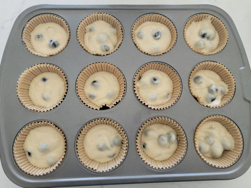blueberry muffin batter in paper liners in a muffin tin