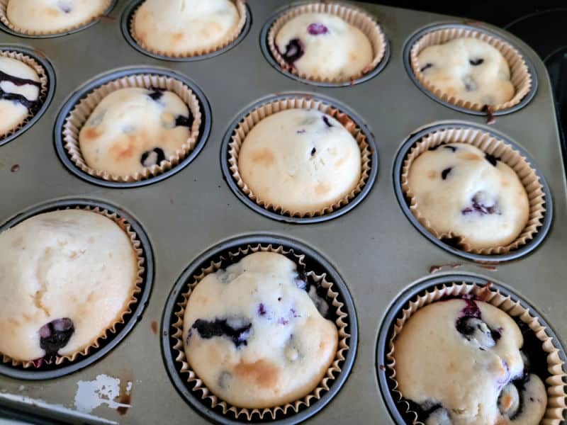 baked blueberry muffins in paper liners in a muffin tin