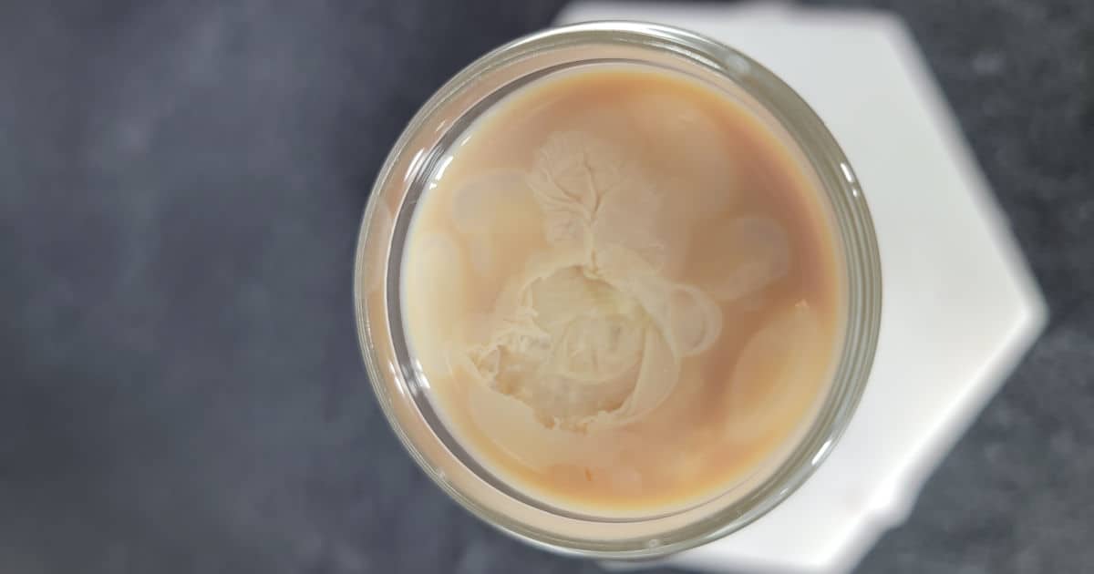 Cement Mixer Shot Recipe (Video) Tammilee Tips