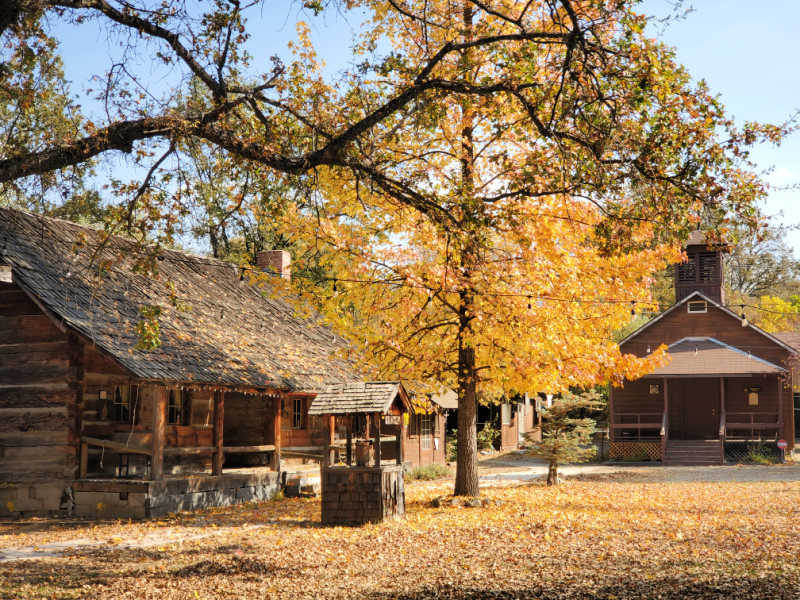 Fall leaves on the tree and ground near historic wooden buildings