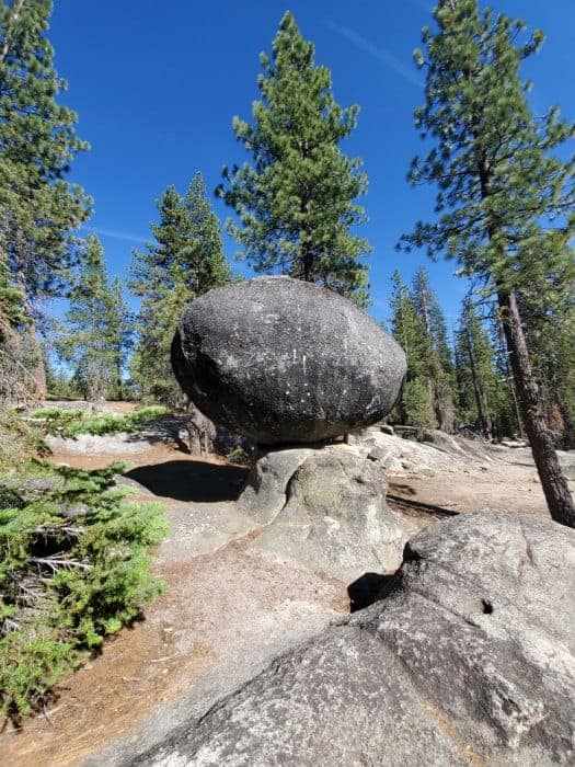 Rock balanced on another rock surrounded by trees