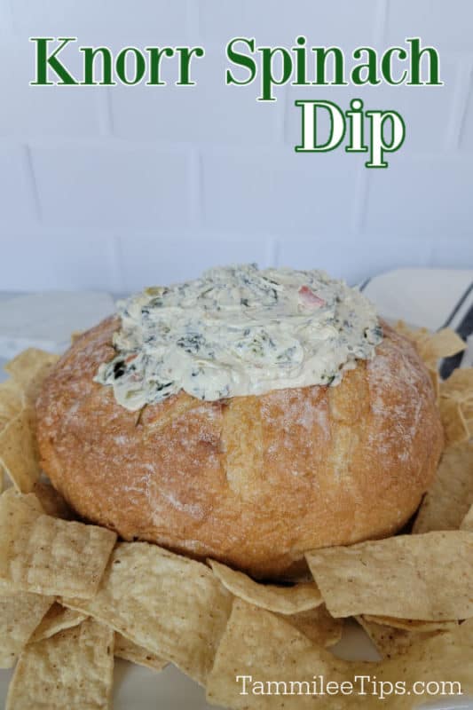 Knorr Spinach Dip over a bread bowl filled with dip and tortilla chips surrounding it