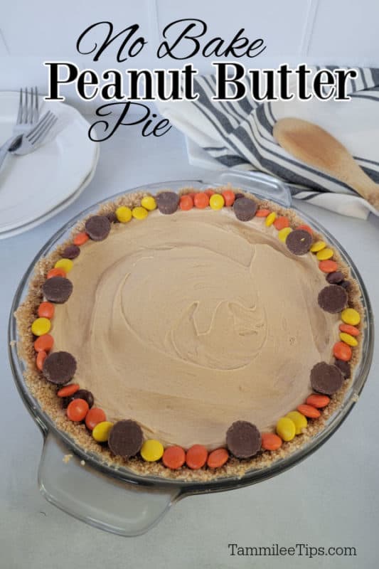 No Bake Peanut Butter Pie over a glass baking dish with peanut butter pie surrounded by Reese's Pieces on top