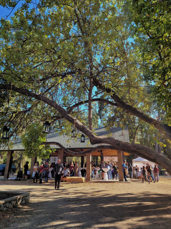 pavilion filled with people under a large tree
