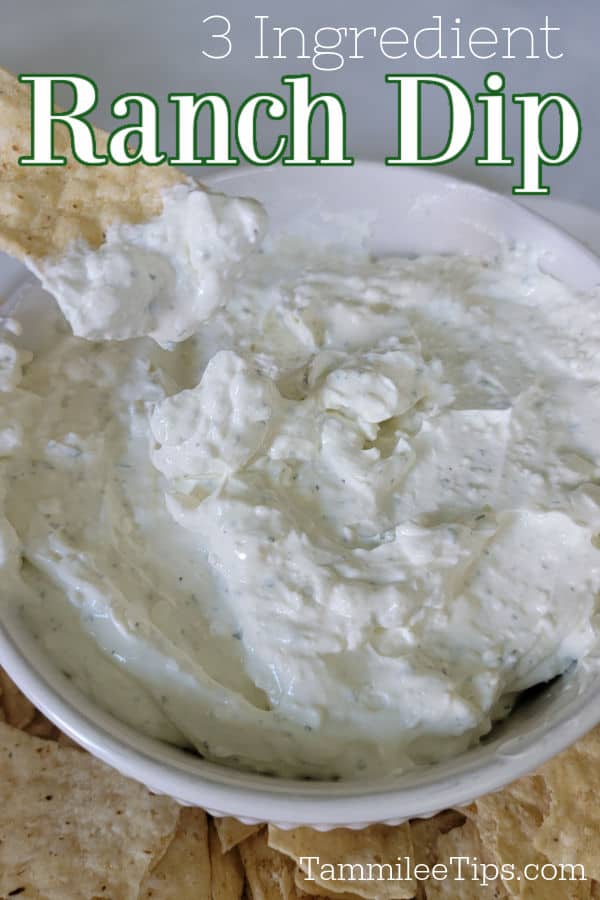 3 Ingredient Creamy Hidden Valley Ranch Dip Recipe Tammilee Tips