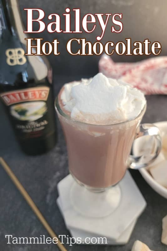 baileys hot chocolate with a whipped cream garnish next to a bottle of Baileys Irish Cream