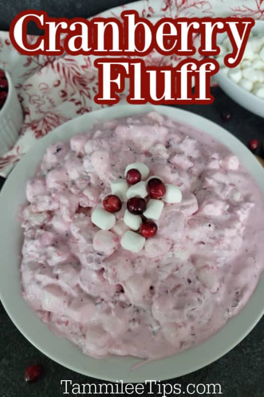 Cranberry Fluff text over a large white bowl with cranberry fluff salad garnished with fresh cranberries and marshmallows