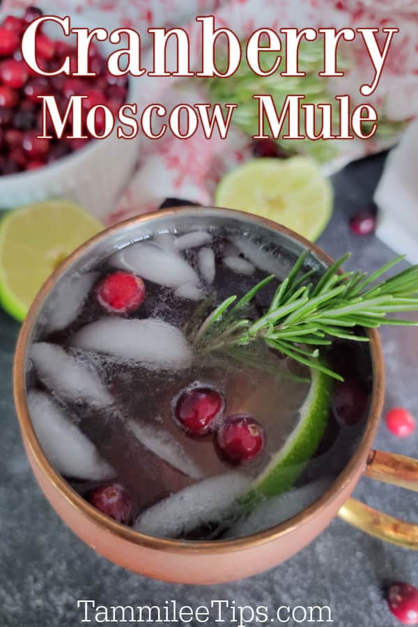 Moscow Mule Recipe