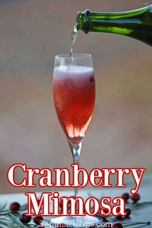 Cranberry Mimosa text written below a champagne flute with a cranberry mimosa and champagne pouring into it. 