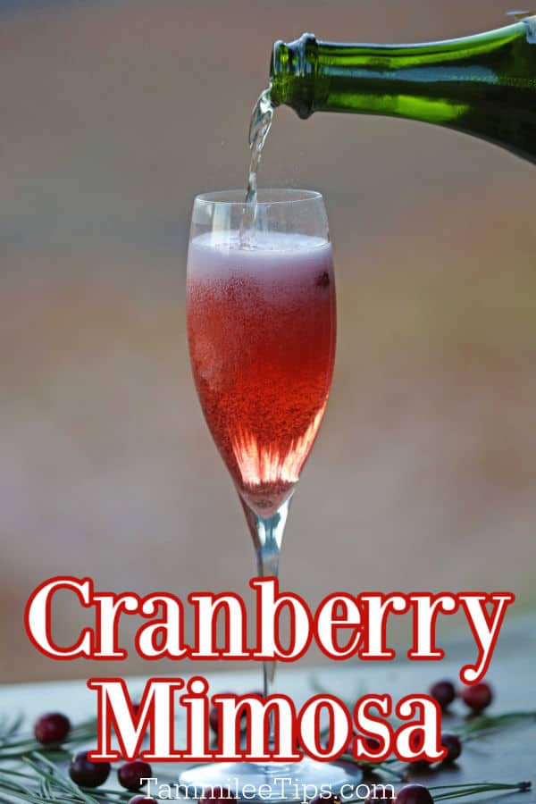 Cranberry Mimosa in a champagne glass with champagne pouring into the glass