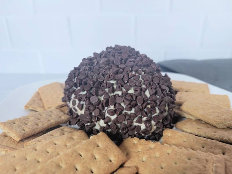 chocolate chip cheese ball surrounded by graham crackers on a white plate