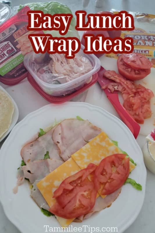 Easy Lunch Wraps Idea over a white plate with a wrap with cheese, meat, and tomatoes