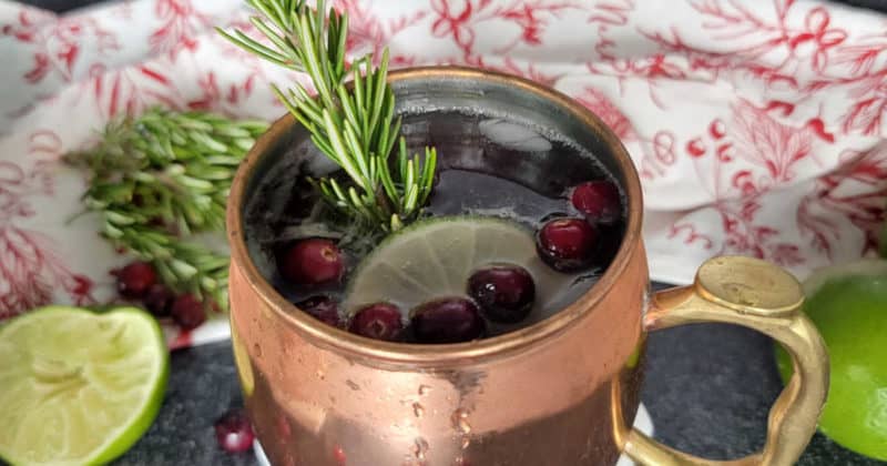 cranberry moscow mule in a copper mug garnished with fresh cranberries