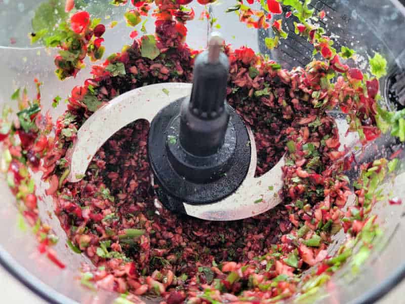 cranberry salsa chopped in a blender