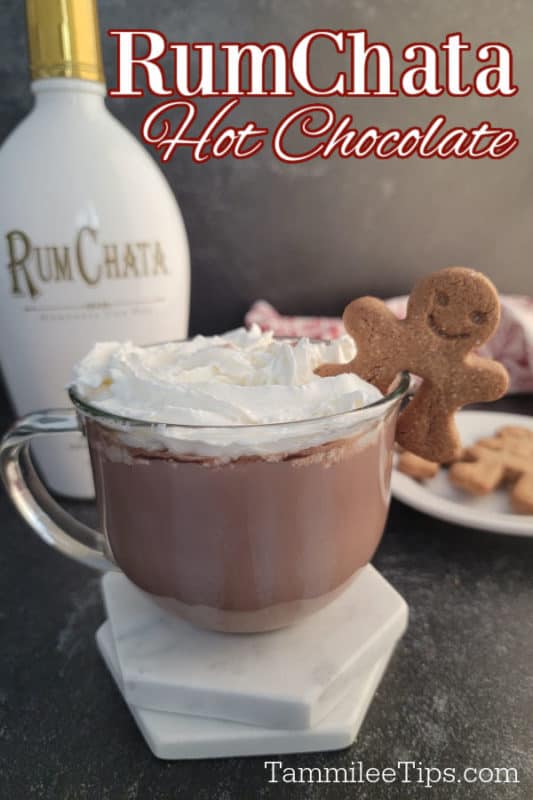 RumChata hot chocolate text over a glass mug with RumChata hot chocolate and a gingerbread cookie