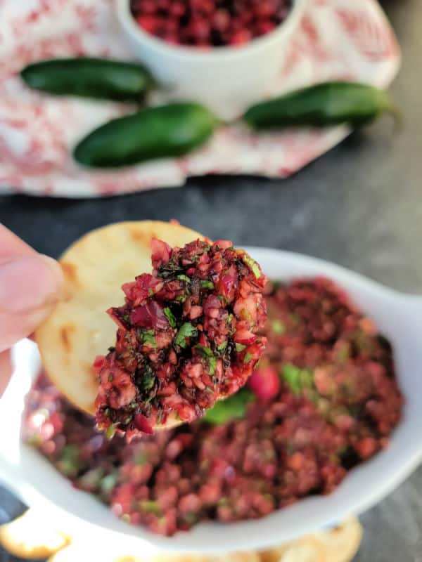 cranberry salsa on a round cracker above a bowl filled with salsa