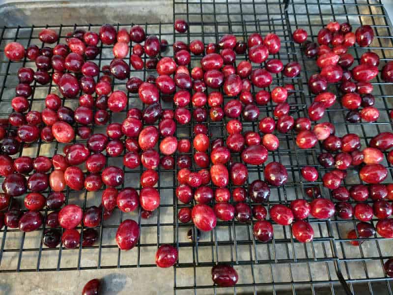 sugar coated cranberries on a drying rack