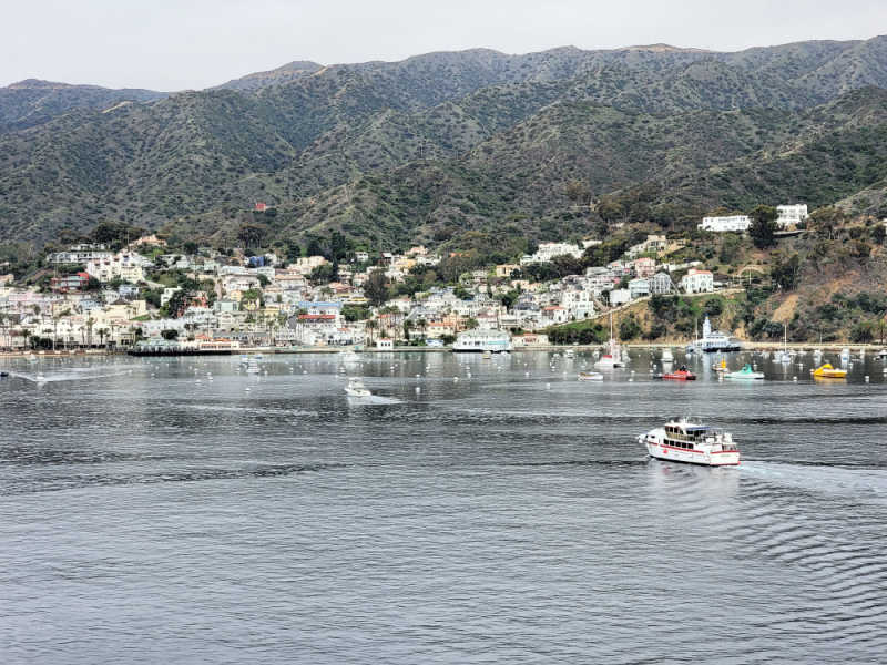 Catalina island harbor with boats and mountain in the background