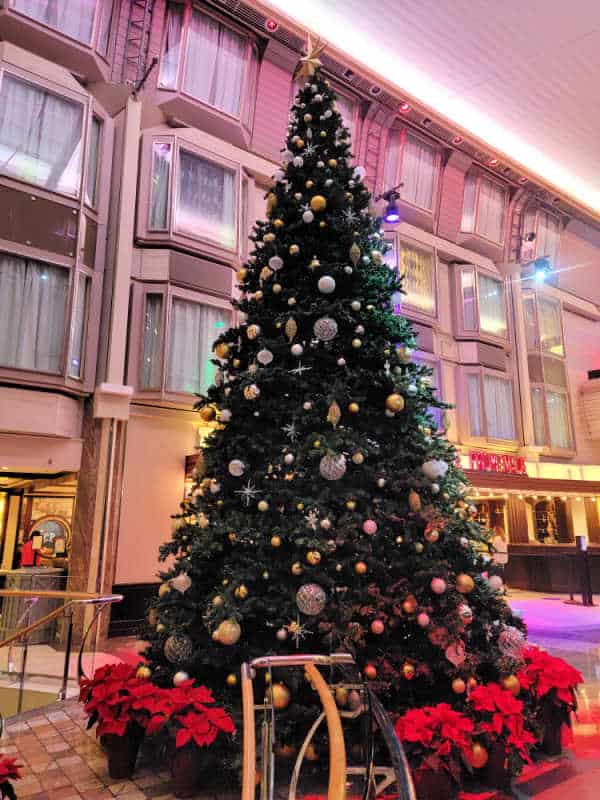 Decorated Christmas tree with 3 stories of windows in the background