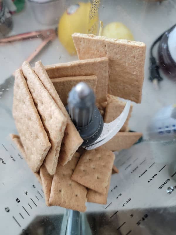 Graham crackers in a blender