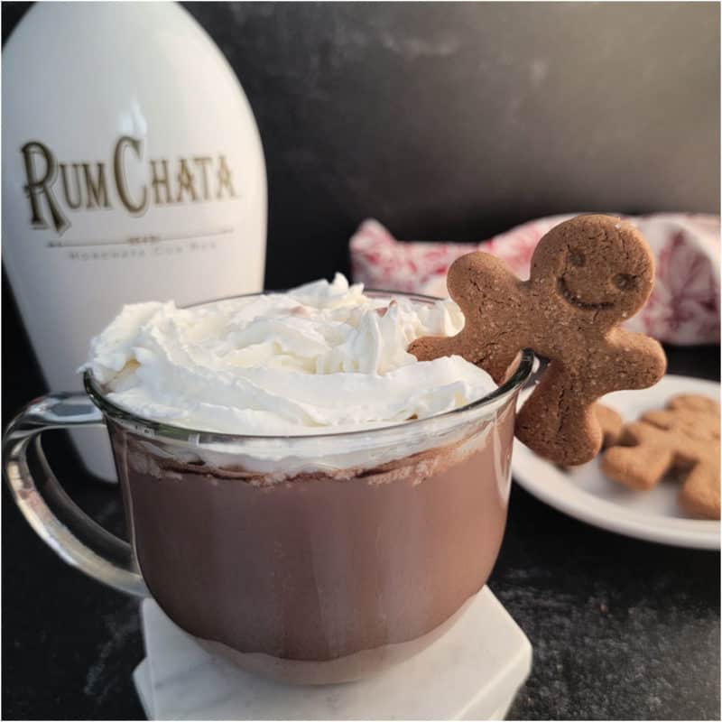RumChata Hot Chocolate in a glass coffee mug garnished with whipped cream and a gingerbread cookie