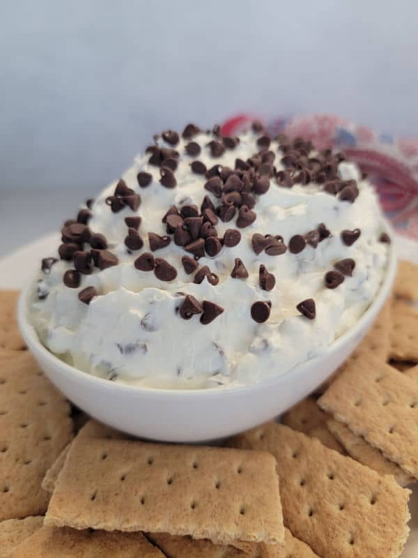 mini chocolate chips on booty dip in a white bowl surrounded by graham crackers 