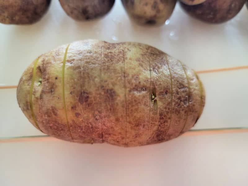 russett potato on chopsticks cut into slices for hasselback potatoes