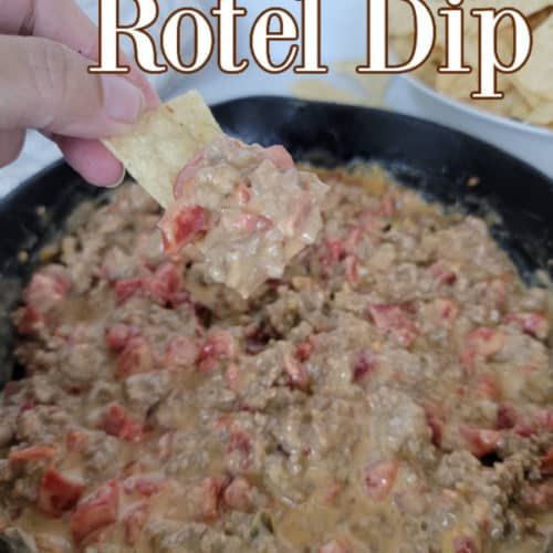 3 Ingredient Velveeta Rotel Dip with Ground Beef Tammilee Tips