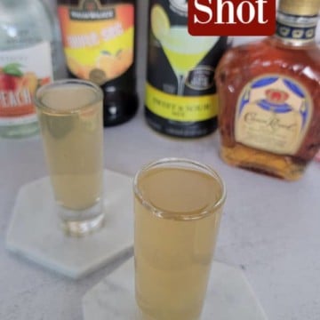 Water Moccasin Shot text printed over two shot glasses and bottls of triple sec, sweet and sour, and Crown Royal