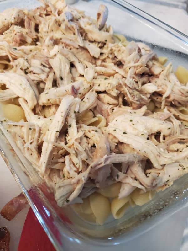 seasoned chicken on pasta shells in a casserole dish