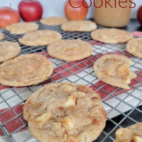 Easy Apple Cider Cookies Recipe Tammilee Tips