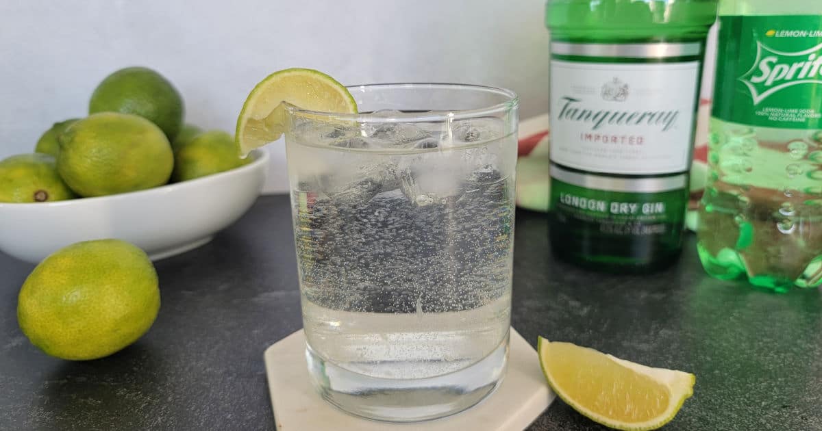 Gin and Sprite Cocktail Recipe Tammilee Tips