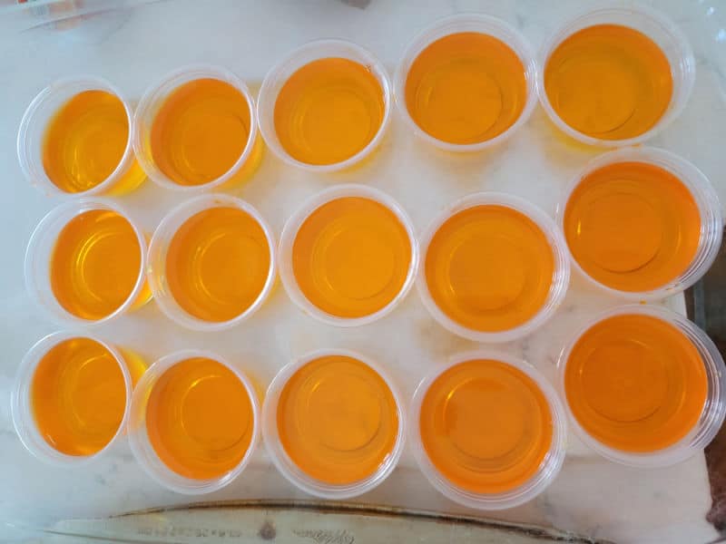 Orange Jello in plastic jello shot cups in a baking dish