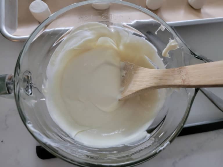 3 Ingredient Marshmallow Ghost Tammilee Tips