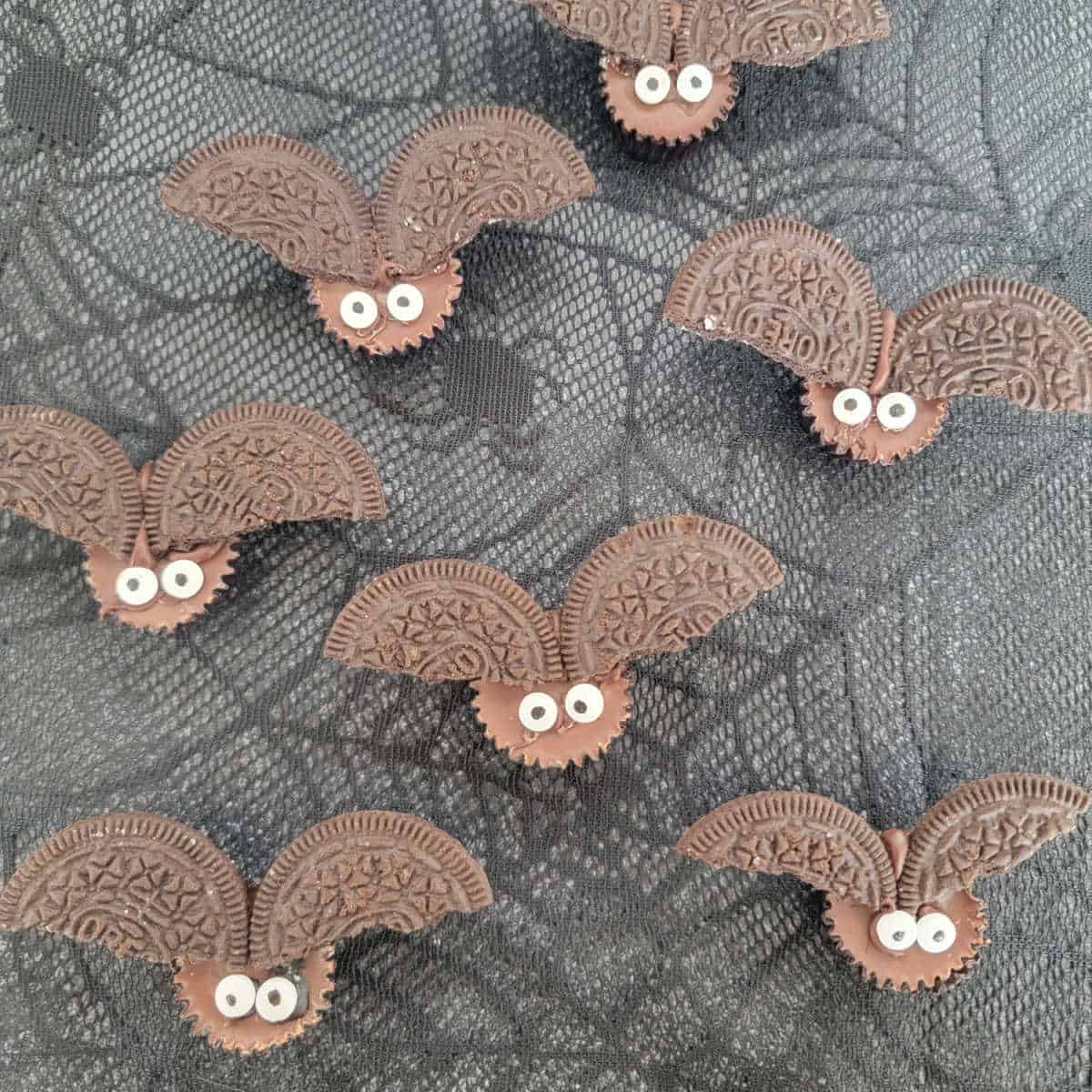 Reeses Bats on a spiderweb pattern